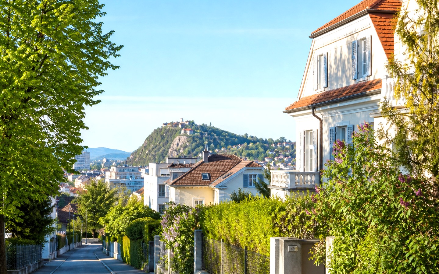 Wohnstraße mit Gärten und Stadthügel im Hintergrund